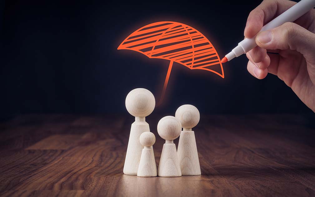 model family under umbrella